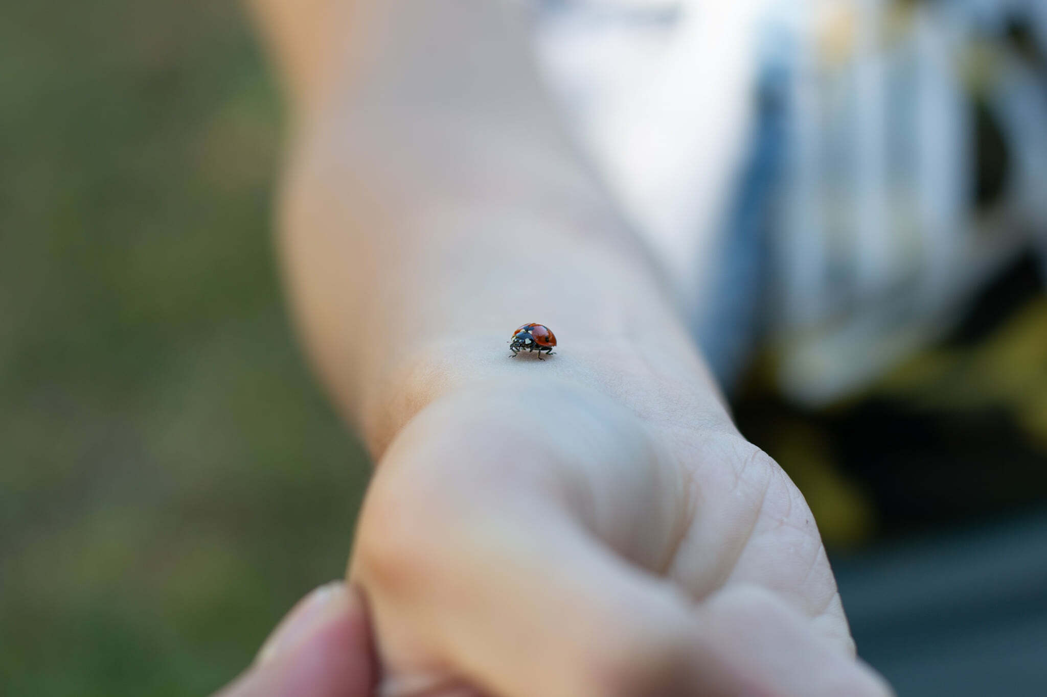 Fotogaléria denného počítačového tábora Macrosoft 14